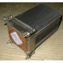 Радиатор HP p/n 433974-001 для ML310 G4 (с тепловыми трубками) 434596-001 SPS-HTSNK (Петропавловск-Камчатский)