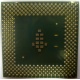 Процессор Intel Celeron 1000A SL5ZF (1000MHz /256kb /100MHz /1.475 V) s370 (Петропавловск-Камчатский)