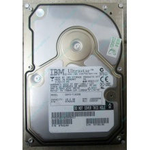 Жесткий диск 18.2Gb IBM Ultrastar DDYS-T18350 Ultra3 SCSI (Петропавловск-Камчатский)