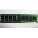 Серверная память 1Gb DDR2 ECC FB Kingmax KLDD48F-A8KB5 pc-6400 800MHz (Петропавловск-Камчатский).