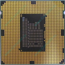 Процессор Intel Celeron G540 (2x2.5GHz /L3 2048kb) SR05J s.1155 (Петропавловск-Камчатский)