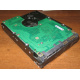 Жесткий диск 300Gb 15k Seagate Cheetach ST3300656SS 15K.6 Dell 9CH066-050 6G SAS (Петропавловск-Камчатский)